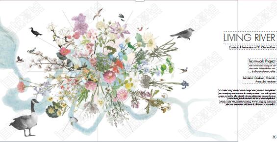 A collection of overseas works of landscape design of natural light trainees A collection of overseas works of landscape design of natural light trainees