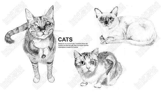 Graphic Design Portfolio Training Graphic Design Portfolio Training