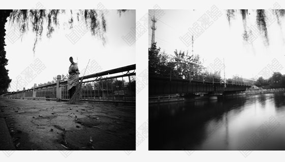 Collection of American Photography Collection of American Photography