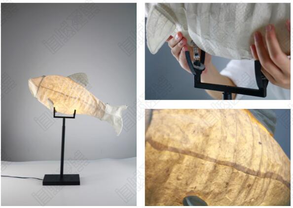 Interdisciplinary Portfolio Training Interdisciplinary Portfolio Training