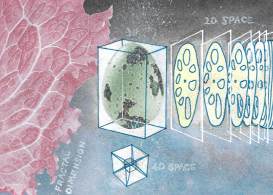 Chinese Style Works Collection of Natural Light Trainees Chinese Style Works Collection of Natural Light Trainees