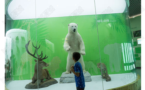 Collection of British Photography Collection of British Photography