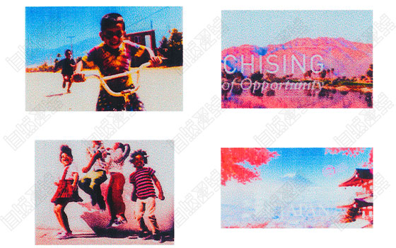 Collection of British Photography Collection of British Photography