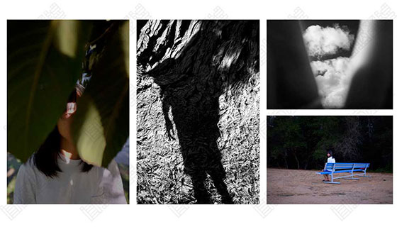 Collection of art works of students studying abroad in natural light Collection of art works of students studying abroad in natural light