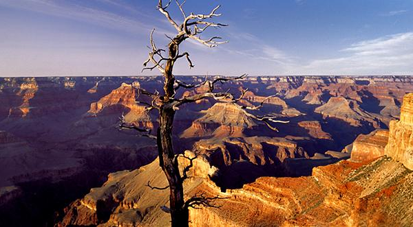 Art study abroad Art study abroad