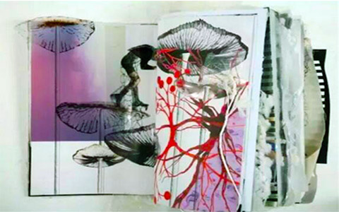 Sketch book Sketch book