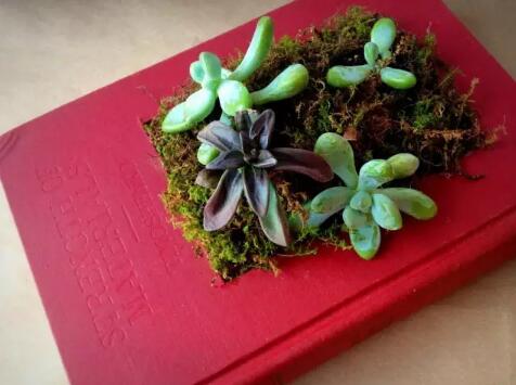 Art Books for Studying Abroad Art Art Books for Studying Abroad Art