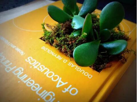 Collection of Art Books for Studying Abroad Collection of Art Books for Studying Abroad