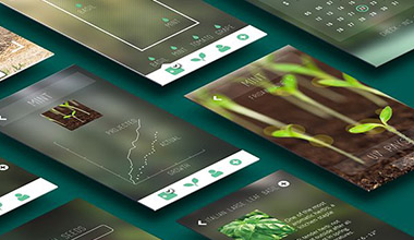 What is Studying Abroad in Interaction Design What is Studying Abroad in Interaction Design