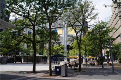 ryerson university ryerson university