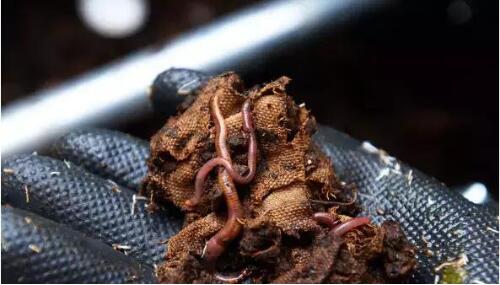 Fashion Design for Art Students Studying Abroad Fashion Design for Art Students Studying Abroad