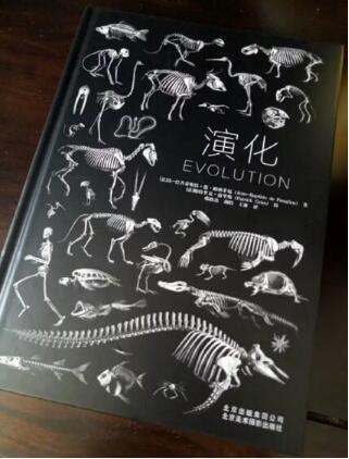 Illustration design for art study abroad Illustration design for art study abroad