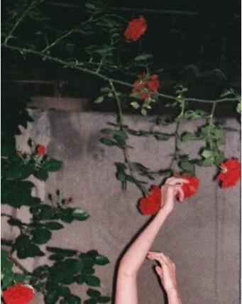 The autonomous proposition of parsons Challenge The autonomous proposition of parsons Challenge