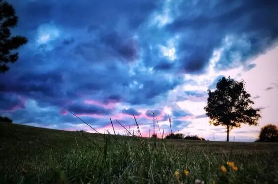 Art Study Film Major Art Study Film Major