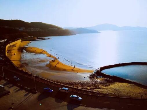 Art Study Film Major Art Study Film Major