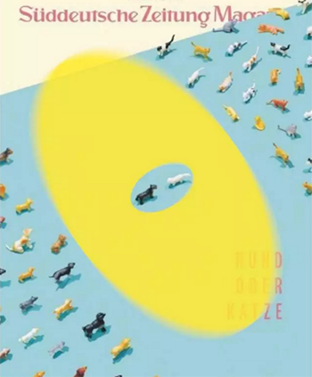 Graphic Design Professional Portfolio Training Graphic Design Professional Portfolio Training