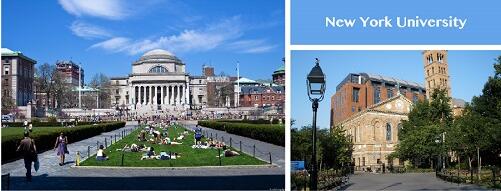 Art study in New York University Art study in New York University