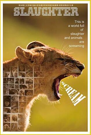 Graphic Design Collection Production Graphic Design Collection Production