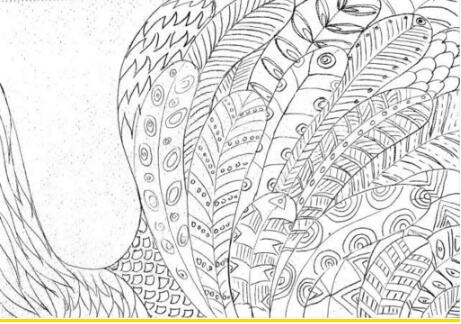 Personal Works of Graphic Design Personal Works of Graphic Design