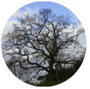 Interactive Design Collection of Overseas Students Interactive Design Collection of Overseas Students