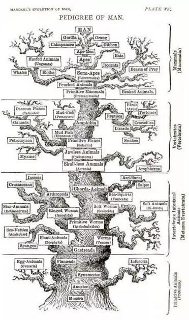 Study abroad in interactive design Study abroad in interactive design