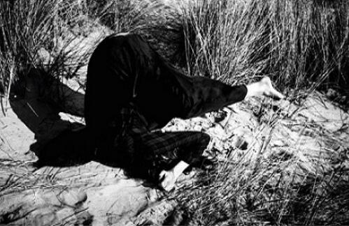 Application for studying in photography in the United States Application for studying in photography in the United States