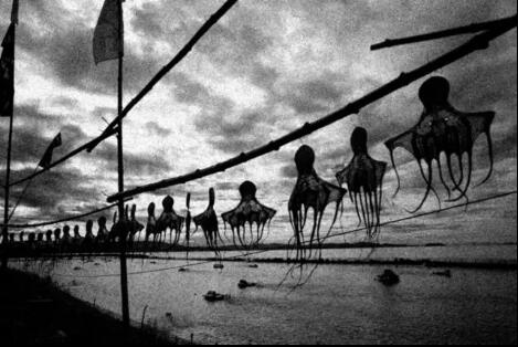 Studied Photography in British Arts Studied Photography in British Arts