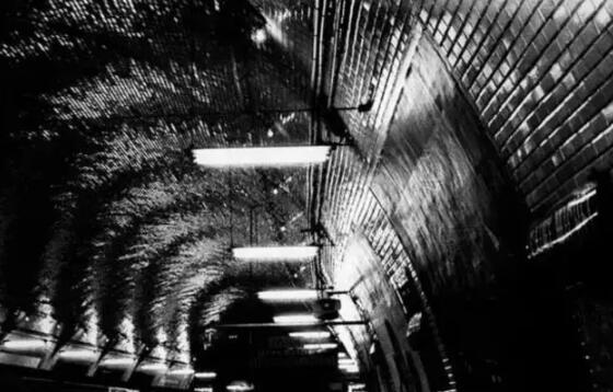 Collection of Photography Studied Abroad Collection of Photography Studied Abroad