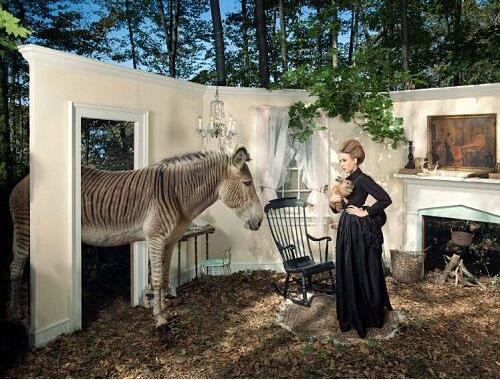 Studying abroad in photography Studying abroad in photography