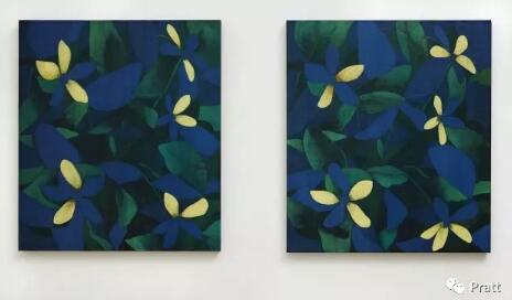 Pure Art Collection Pure Art Collection