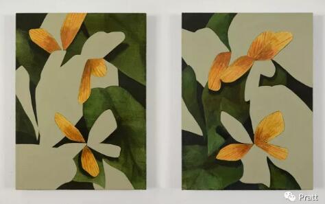 Pure Art Collection Pure Art Collection