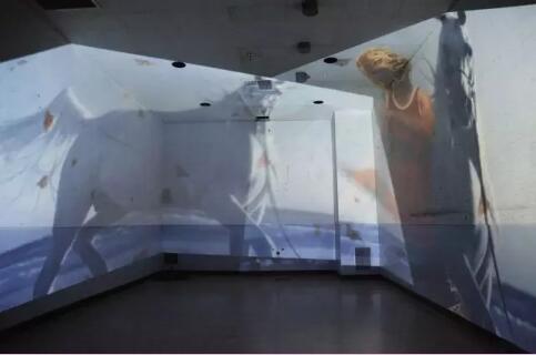 Animation Design Collection Animation Design Collection