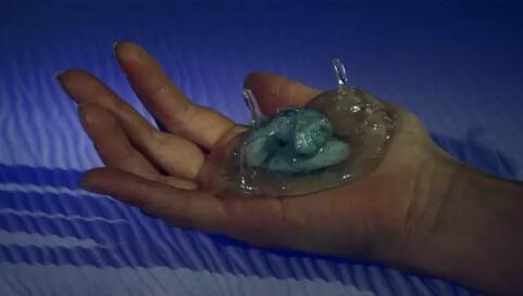 Animation Design Collection Animation Design Collection