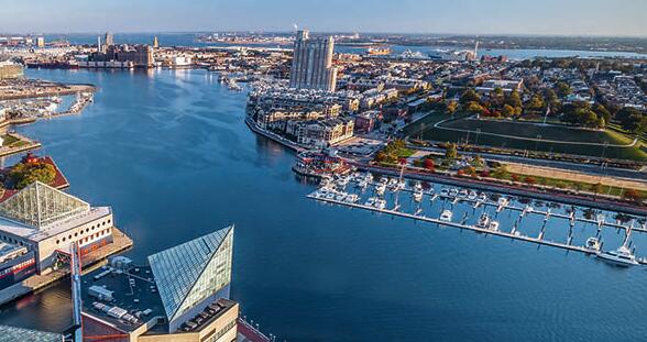 Illustration Design Study Abroad Illustration Design Study Abroad