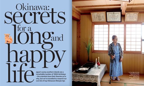 Trainer design of natural light works collection Trainer design of natural light works collection