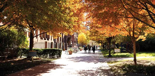 Application for art study in Pratt Art College Application for art study in Pratt Art College