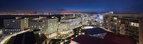 Art study application to New York University Art study application to New York University