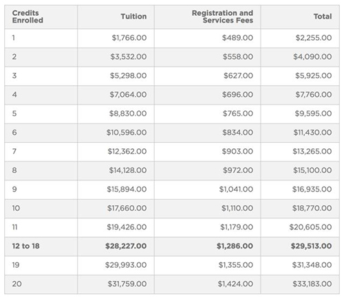 Tuition for graduate students studying at New York University Tuition for graduate students studying at New York University