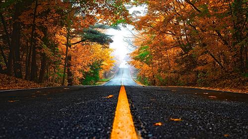 How to study photography in Britain How to study photography in Britain