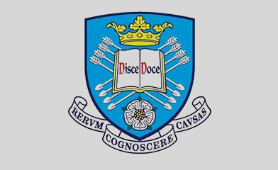 Sheffield University Sheffield University