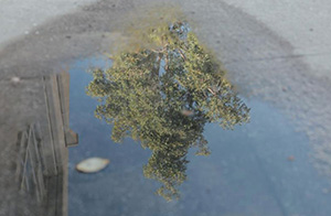 Photography Portfolio Trainer Works Photography Portfolio Trainer Works