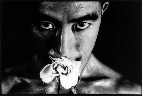 Collection of Pure Art Photography Collection of Pure Art Photography