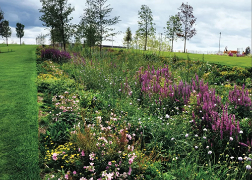 How to study abroad for landscape design in Britain How to study abroad for landscape design in Britain