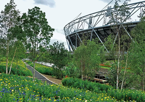 How about the Landscape Design Major of Sheffield University How about the Landscape Design Major of Sheffield University