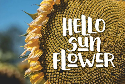 Typesetting font design of works collection Typesetting font design of works collection