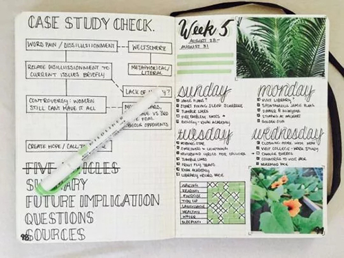 What is the difference between undergraduate application and graduate application What is the difference between undergraduate application and graduate application