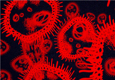 Illustration Design of Cambridge University of the Arts Illustration Design of Cambridge University of the Arts