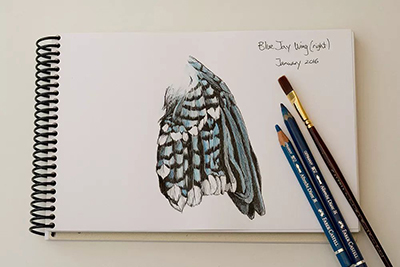 Painting basics sketchbook Painting basics sketchbook