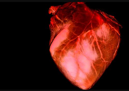 DeMontefort University Photography DeMontefort University Photography