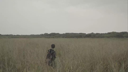 Finalist works of Huawei nova star short video contest Finalist works of Huawei nova star short video contest